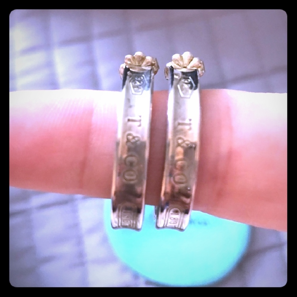 Tiffany & Co SS Earrings
